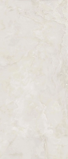 Anima Ever Royal Onyx 119.5x278 - фото 1