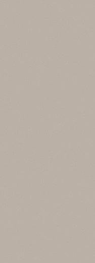 Tonara Grey 32.8x89.8 - фото 1