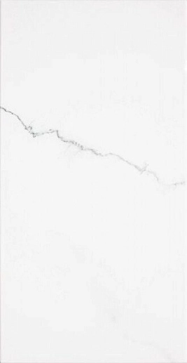 Corinto Blanco 31x60 - фото 1