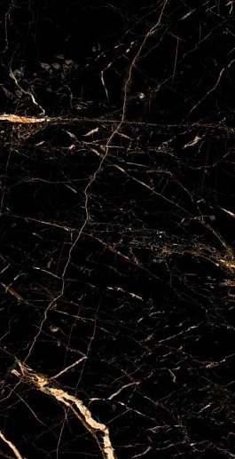 Supreme Black Gold 60x120 - фото 1