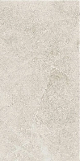 Star White Rett 60x120 - фото 1