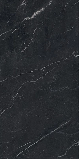 Anima Futura Unique Black Luc 60x120 - фото 1