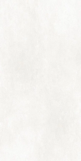 Icon White Sat Ret 60x120 - фото 1