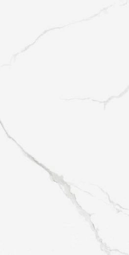 Marble Carara Glos. 60x120 - фото 1
