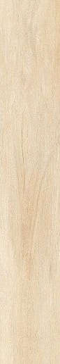 Cedar Бежевый Matte 75x150 - фото 1