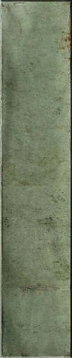 Nautalis Green Brillo 5x25 - фото 1