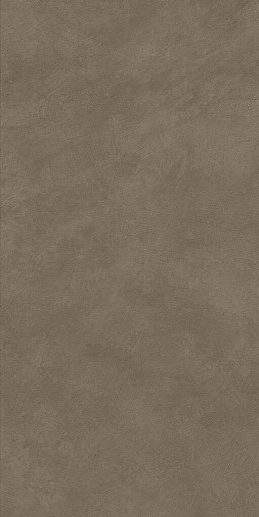 Boost Natural Umber 60x120 - фото 1