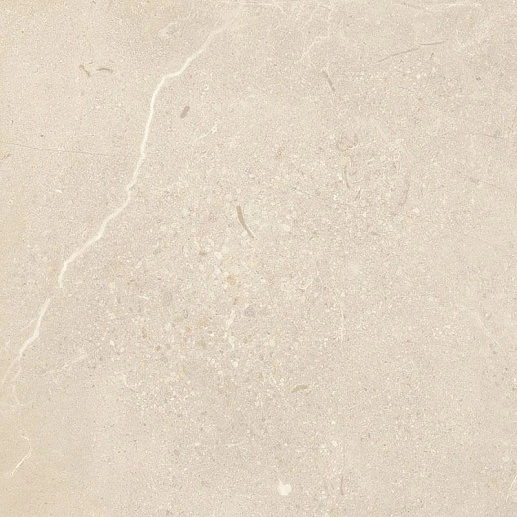 Sunnydust Light Beige Gres 59.8x59.8 - фото 1