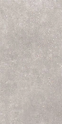 Coral Rock Серый 30x60 - фото 1