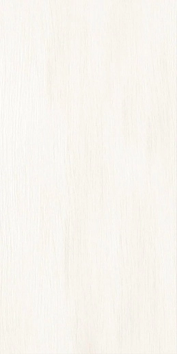 Naomi Rock Line Nude 30x60 - фото 1