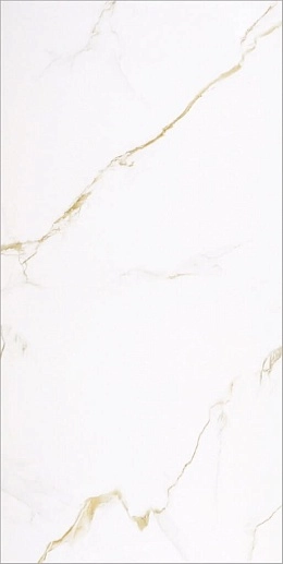 Porcelain Golden Carrara 60x120 - фото 1