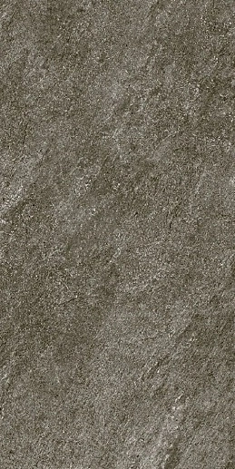 Stone Basalt Gray Matt 60x120 - фото 1