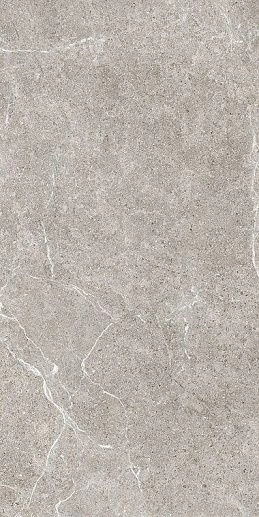 HolyStone Grey 61x122.2 - фото 1