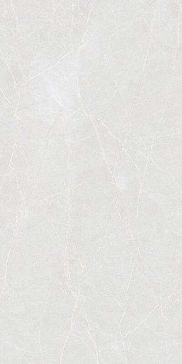 Elegance Bianco 60x120 - фото 1