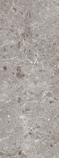 Coverlam Artic Gris Pulido 120x260 - фото 1