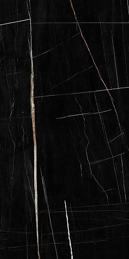 Sahara Noir 60x120 - фото 1