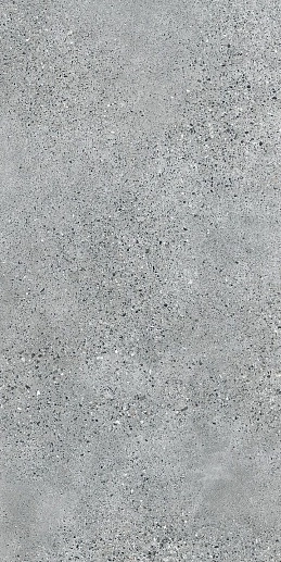 Terrazzo Grey 119.8x59.8 - фото 1