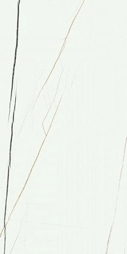 Symphony White pul. 120x60 - фото 1