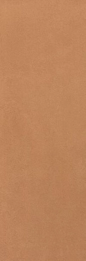 Summer Terracotta 30.5x91.5 RT - фото 1