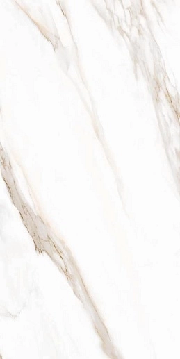 White Marble Calacatta Oro 61x122.2 Ret - фото 1