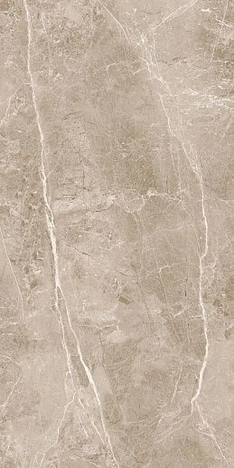Obsidian Taupe 60x120 - фото 1