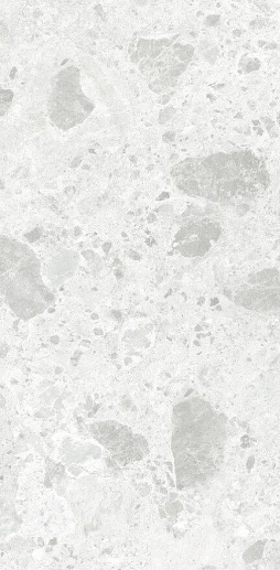 Amsterdam White Polished Rect. 60x120 - фото 1