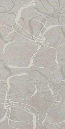 Naomi Graphite 30x60 - фото 1