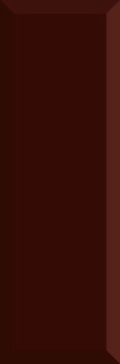 Monocolor Biselado Brillo Marron 10x30 - фото 1