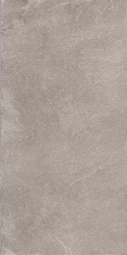 DD500220R Про Стоун серый обрезной 60x119.5 - фото 1