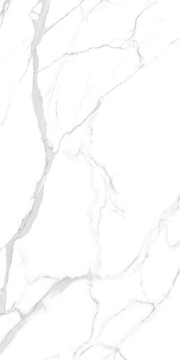 Despro Statuario Authentic 60x120 - фото 1