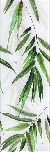 Snow Glossy Glass Tropic B 25x75 - фото 1