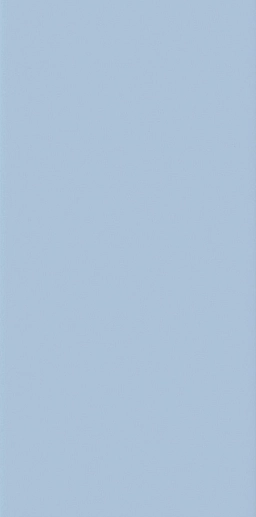 Icona 1020CM 10x20 - фото 1