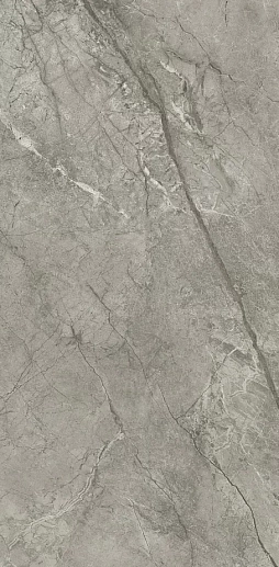 Marvel Meraviglia Silver Majestic Matt. 60x120 - фото 1