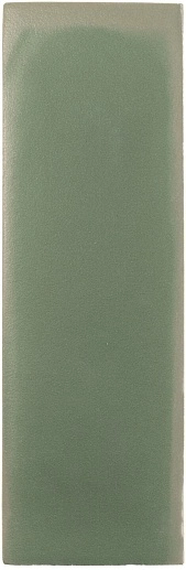 Rebels Moss Matt 5x15 - фото 1