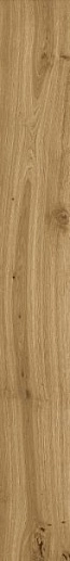 Rive Dolce Riva Ret 20x160 - фото 1