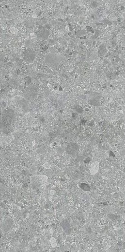 Ceppo di Gre Gris 60x120 - фото 1