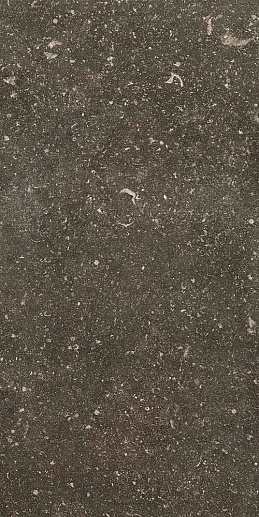 Atmospheres de Rex Desir Pat Smooth 40x80 - фото 1