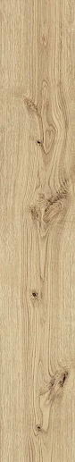 Exence Vanilla 20x120 - фото 1