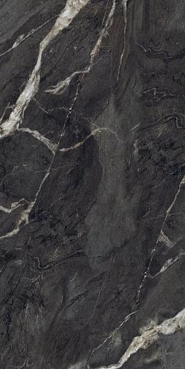 Camlin Черный 60x120 - фото 1
