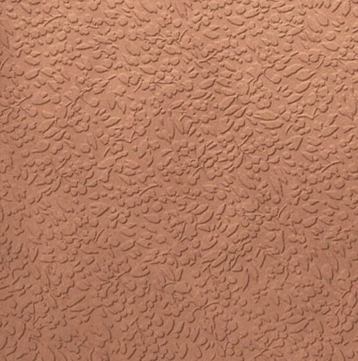 Argillae Nisus Coral 60x60 - фото 1