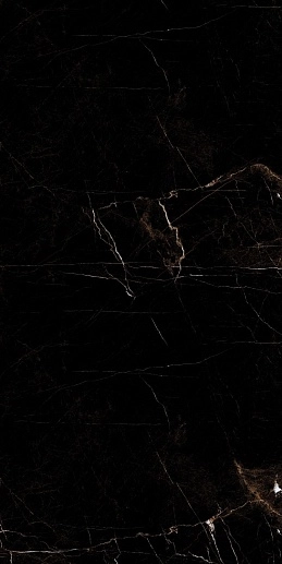 Eco Tropic Black 9 mm POLI 60x120 - фото 1