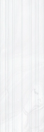 Stravaganza Roses Blanco 25x75 - фото 1