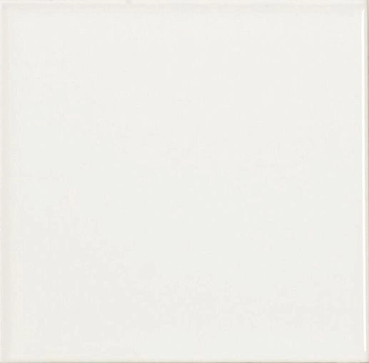 Liso Blanco Mate 10x10 - фото 1