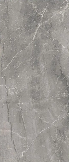 Synestesia Gray Marble Levigato 120x278 - Ls6s5x2 - фото 1
