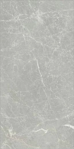 Exalt of Silver Light Nat Rett 60x120 - фото 1