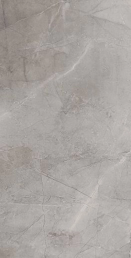 Remos Grey Mat 59.8x119.8 - фото 1