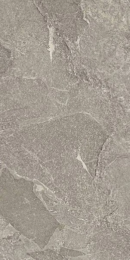 Cosmo Meteor Grey Rett 60x120 - фото 1