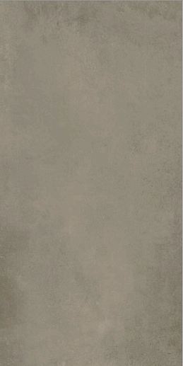Evoque Taupe 60x120 - фото 1