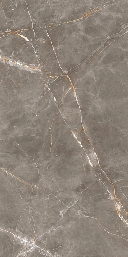 Shinestone Grey Pol 59.8x119.8 - фото 1