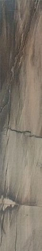 Jurassic Brown Nat-Rett 16.5x100 - фото 1